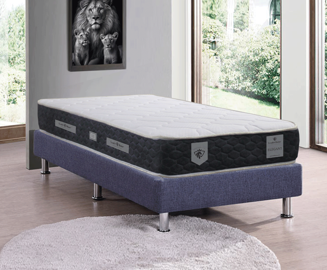 leaderhome_elegant_soft_2
